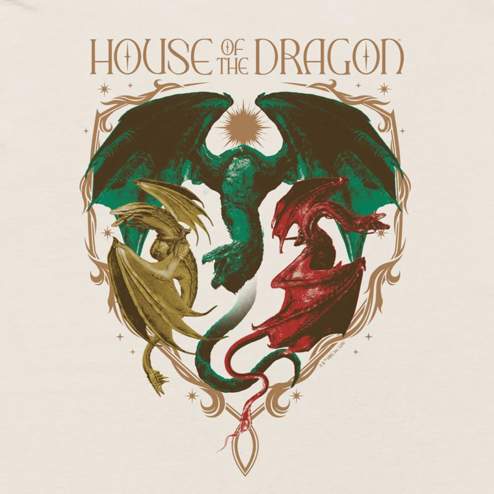 House of the Dragon Syrax, Caraxes & Vhagar Oversized Faded T-shirt - Image 3