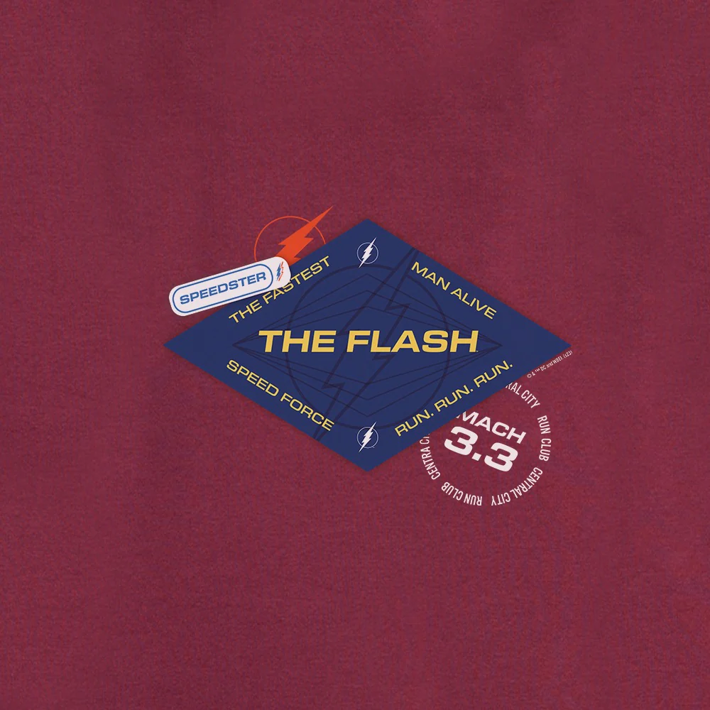 The Flash The Fastest Man Alive Unisex Hooded Sweatshirt - Image 2