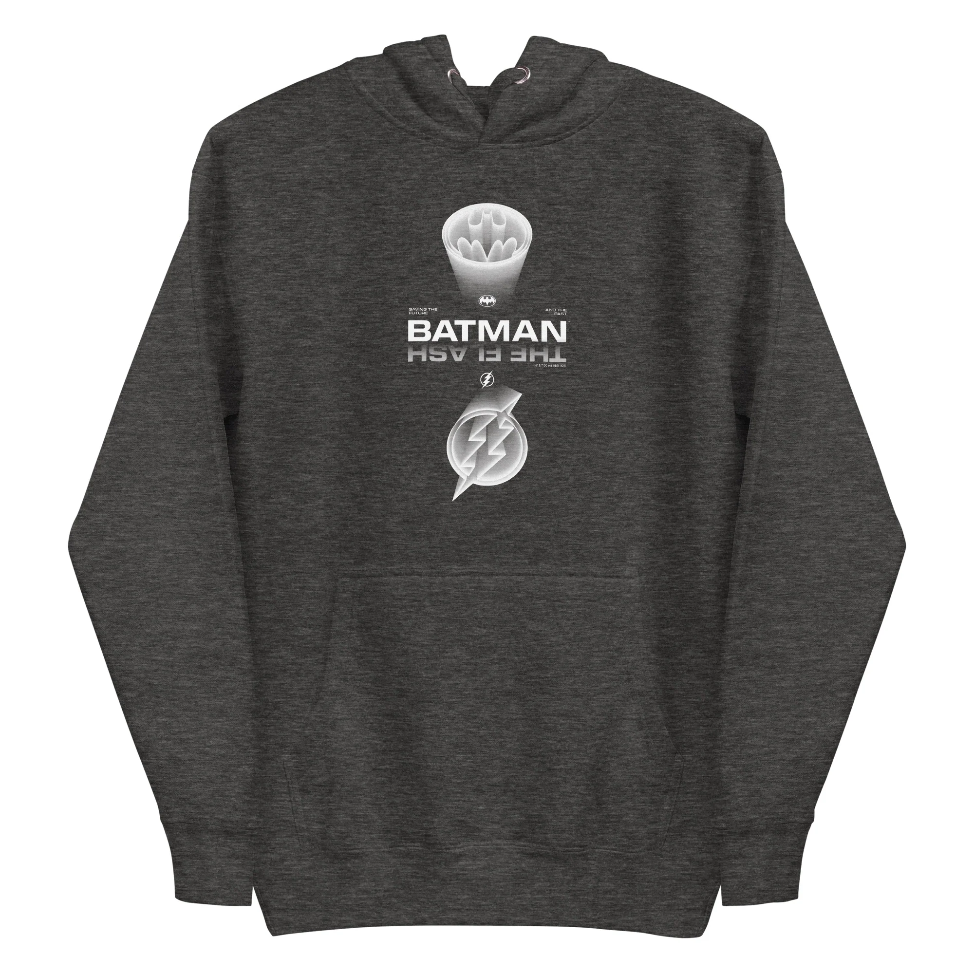 The Flash x Batman Future and Past Unisex Premium Hoodie